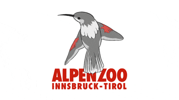 Tirol GIF by Alpenzoo Innsbruck