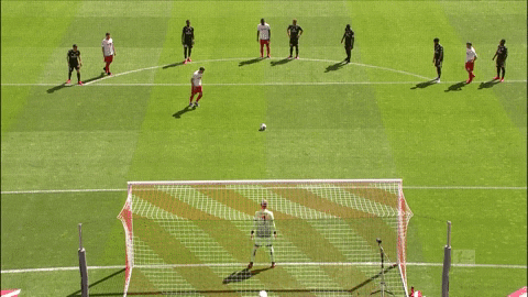 1 Fc Cologne Football GIF by 1. FC Köln