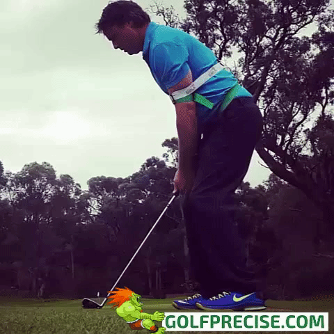 golfing tiger woods GIF