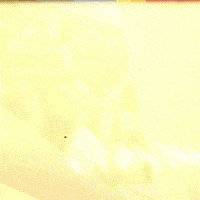 Overcome Sam Tinnesz GIF by Showdown Management