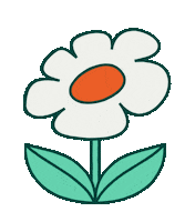 Levart Sticker by G Adventures