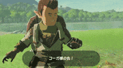 legend of zelda GIF
