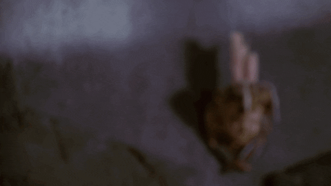MaskVsMask giphyupload spike btvs james marsters GIF