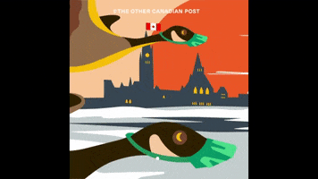 othercanadianpost wtf snow animal chill GIF