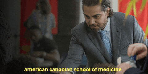 americancanadiansom giphygifmaker giphyattribution GIF