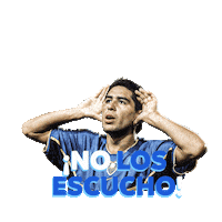 Idioma De Hincha Sticker by Copa América