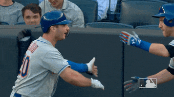 ny mets celebration GIF by New York Mets