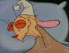 ren and stimpy nicksplat GIF