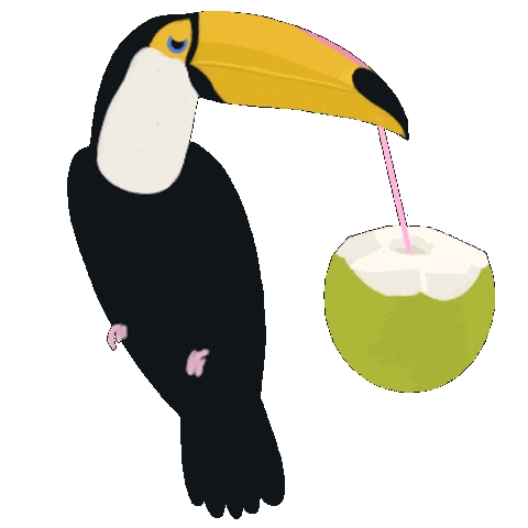 Coconut Water Coco Sticker by Prosa de Cora