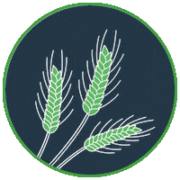 Blog Plants Sticker by Pivot Bio