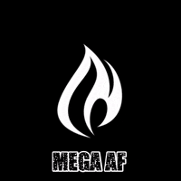 Fyrefitlagree mega fyre lagree megaformer GIF