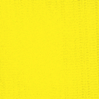 rosemodesto mato grosso do sul pantanal rose modesto eduardo riedel GIF