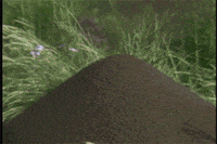 archaeology cmhgif GIF by Canadian Museum of History
