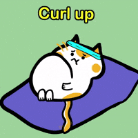 Curl Up GIF by Poku Meow