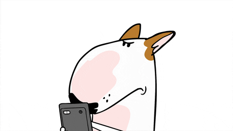 Tapping Bull Terrier GIF by Jimmy the Bull