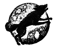 Black Dog Sticker by Taylor Swift