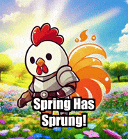 Flowers Spring GIF by Zorooster