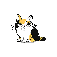 cat omg Sticker by meowbox