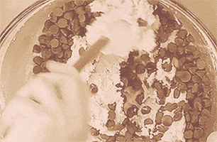 chip GIF
