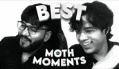 Moth GIF