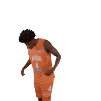 Sport Basketball Sticker by spisskirytieri