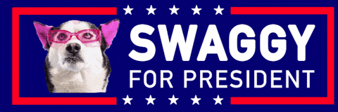 Dog President GIF by SWAGGY WOLFDOG