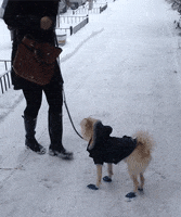 snow GIF by REBEKAH