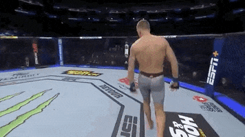 Krzysztof Jotko GIF by UFC