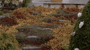 cindy busby love GIF by Hallmark Channel
