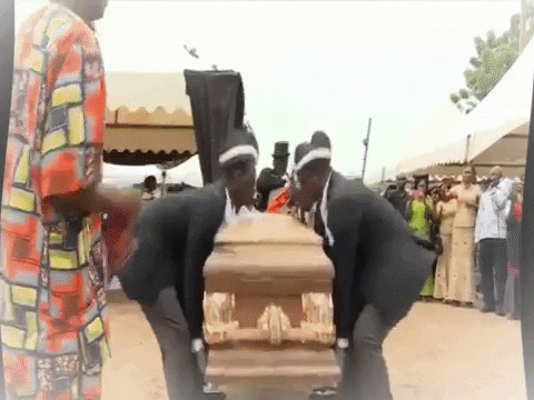 harshajit1994 giphygifmaker coffin dance pallbearer sapne GIF