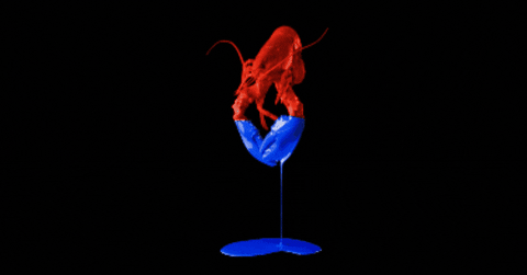 Vote Blueblood GIF by Hilton The Hague