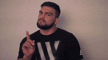 ufc 205 no GIF by UFC