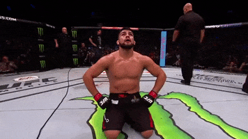 kelvin gastelum ufc GIF