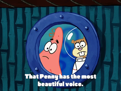 season 3 GIF by SpongeBob SquarePants