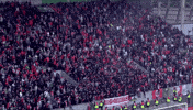 Red Army Fans GIF by Cliftonville Football Club