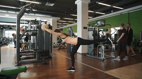 dsedkov giphygifmaker GIF