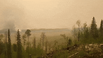 Thousands Evacuate Fort Nelson as Wildfires Spread