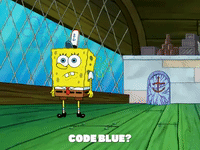 season 6 episode 3 GIF by SpongeBob SquarePants