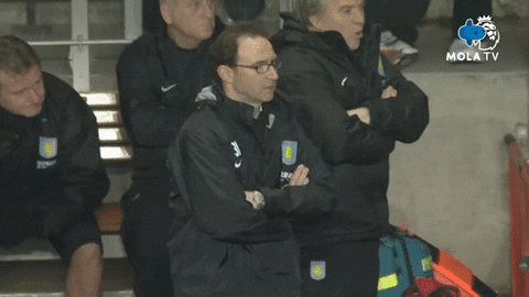 Happy Fun GIF by MolaTV