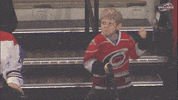 hockey dancing GIF by Carolina Hurricanes