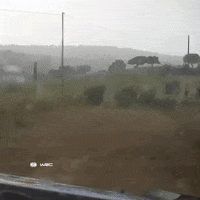 Sport Driving GIF by FIA World Rally Championship