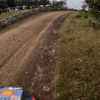 Driving Good Bye GIF by FIA World Rally Championship