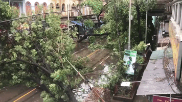 'The City Is Ravaged': Cyclone Amphan Leaves Trail of Destruction in Kolkata