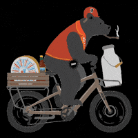 molinaridesign bennobikes benno bikes bennobike benno bike GIF