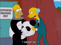 homer simpson panda GIF