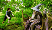lord of the rings GIF