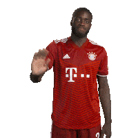 Bundesliga Hello Sticker by FC Bayern Munich