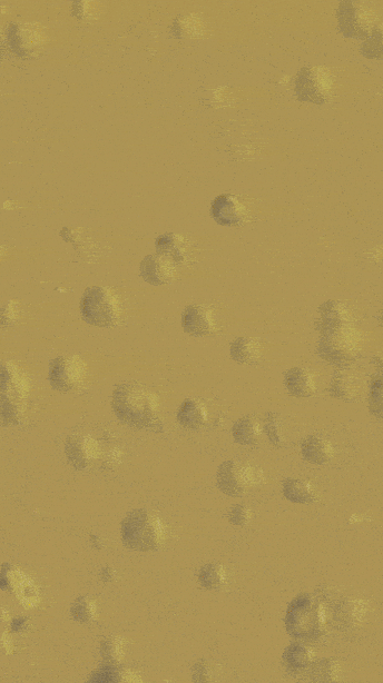 GIF by GadaboutSalonSpas