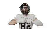 American Football Sticker by Frankfurt Galaxy