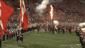 Ohio State Osu GIF by Ohio State Athletics
